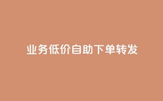 ks业务低价自助下单转发,回森1元3000粉丝不掉粉丝 - 拼多多助力 - 怎么在拼多多卖东西视频教程