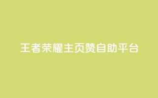 王者荣耀主页赞自助平台,快手充值入口 - 快手免费业务全网最低 - dy24小时在线下单平台