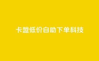 卡盟低价自助下单科技 - 低价自助服务助力卡盟轻松下单!