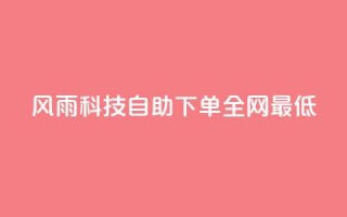 风雨科技自助下单全网最低,全民k歌粉丝业务 - 子潇网络老马低价下单 - QQ充值