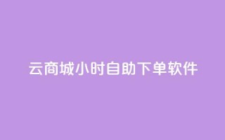 qq云商城24小时自助下单软件 - 高效便捷的全天候自助下单软件~