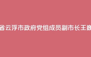 广东省云浮市政府党组成员、副市长王巍被查