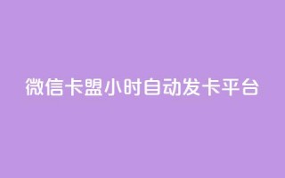 微信卡盟24小时自动发卡平台 - 微信卡盟24小时自动发卡平台 - 24小时自动发卡，助力微信卡盟!