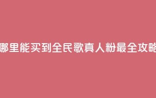 哪里能买到全民K歌真人粉 最全攻略