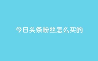 今日头条粉丝怎么买的 - vip影视会员一手货源批发