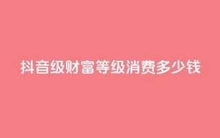 抖音24级财富等级消费多少钱 - 抖音财富等级24级消费金额是多少？!