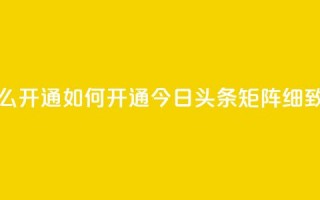 今日头条矩阵怎么开通 - 如何开通今日头条矩阵？细致解析步骤~