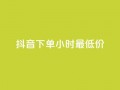 抖音下单24小时最低价,卡盟平台qq业务qq音乐会员 - 小红书24小时自助业务网站 - 网红业务下单