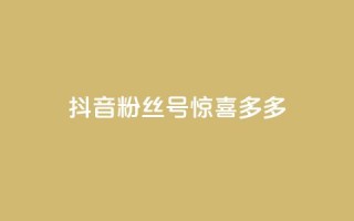 抖音粉丝号 惊喜多多.cn,cf低价黑号发卡网 - 拼多多现金大转盘助力50元 - 网易云音乐业务低价自助下单