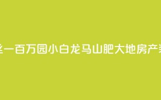 快手粉丝一百万0.01园小白龙马山肥大地房产装修网站,抖音业务下单24小时秒到账 - 快手一元100攒链接 - q钻卡盟