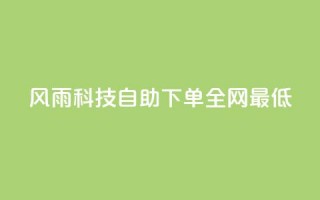 风雨科技自助下单全网最低 - 风雨科技自助下单，价格最低，全网首选!