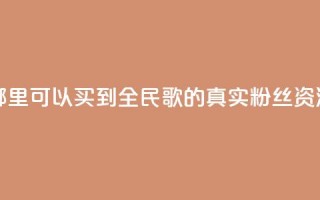 哪里可以买到全民K歌的真实粉丝资源