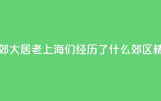 生活在市郊大居，“老上海”们经历了什么？_郊区精细化治理③