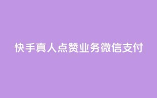 快手真人点赞业务微信支付,冰点卡盟 - QQ名片卡点赞 - 闲鱼24h自助下单