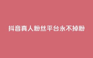 抖音真人粉丝平台 永不掉粉 - 抖音真人粉丝长期稳定平台！