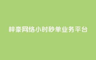 梓豪网络24小时秒单业务平台,免费快手播放量平台 - qq秒赞自助网站官网 - qq会员低价开通网站