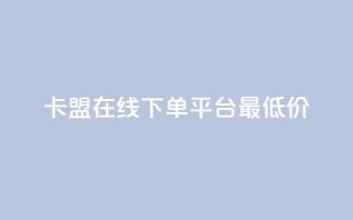 卡盟在线下单平台最低价 - 最低价在线下单平台推荐~