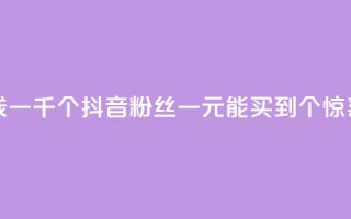 抖音粉丝一块钱一千个 - 抖音粉丝一元能买到1000个？惊喜大揭秘！~