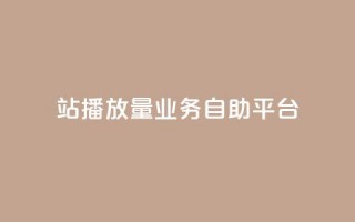 b站播放量业务自助平台 - B站播放量业务自助平台提升营销效果!