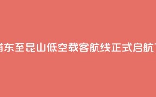 上海浦东至昆山低空载客航线正式启航