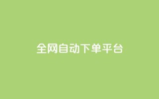 全网自动下单平台 - 网红商城网站入口