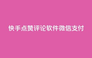 快手点赞评论软件微信支付 - 一元一万抖音粉丝