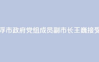 广东省云浮市政府党组成员、副市长王巍接受审查调查