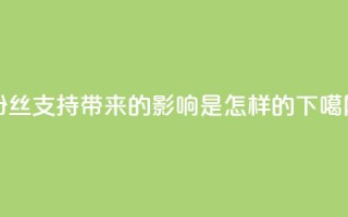 粉丝支持带来的影响是怎样的？