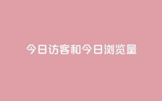 今日访客和今日浏览量,网红商城快手业务24小时营业 - pdd提现700套路最后一步 - 全网最低价业务网站