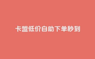 卡盟低价自助下单秒到 - 便捷快速的卡盟自助下单服务!