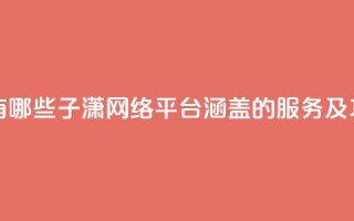 子潇网络平台有哪些 - 子潇网络平台：涵盖的服务及功能一览！