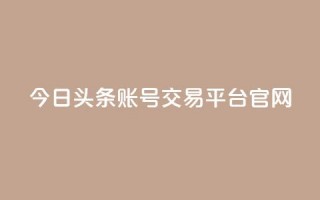 今日头条账号交易平台官网 - 今日头条账号交易平台官网：一站式账号买卖，助力个人增长~