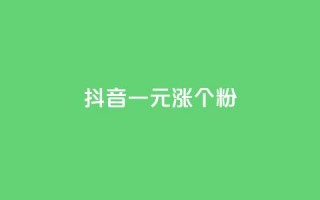 抖音一元涨1个粉 - 抖音每花1元就多1个粉丝!