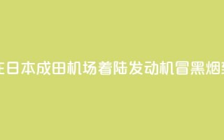 新航波音客机在日本成田机场着陆 发动机冒黑烟致跑道一度关闭