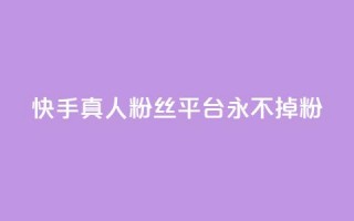 快手真人粉丝平台 永不掉粉,视频号自助平台业务下单真人 - dy浏览量业务 - 快手买站一块钱100