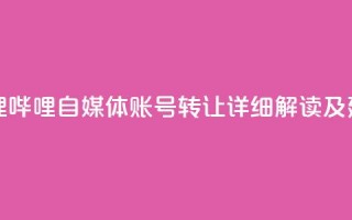 哔哩哔哩自媒体账号转让：详细解读及建议