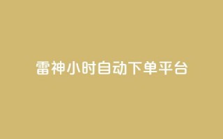 雷神24小时自动下单平台KS - 雷神KS平台：24小时自动下单服务!