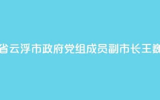 广东省云浮市政府党组成员、副市长王巍被查