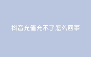 抖音充值充不了怎么回事,KS低价业务下单平台 - 拼多多转盘最后0.01解决办法 - 拼多多助力发布任务的软件