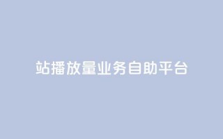 b站播放量业务自助平台 - B站推出自助平台助力播放量提升~