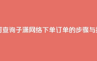 如何查询子潇网络下单订单的步骤与技巧