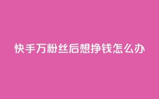 快手1万粉丝后想挣钱怎么办 - 快手获得1万粉丝后的赚钱策略与方法揭秘~