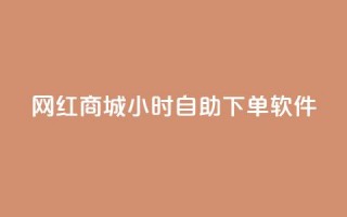 网红商城24小时自助下单软件 - 24小时自助下单软件，让网红商城轻松畅销!