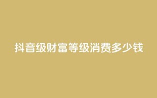 抖音24级财富等级消费多少钱,快手低价业务自助平台软件 - 刷大众点评访客软件 - 抖音如何刷1000贡献用户