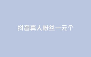 抖音真人粉丝一元1000个 - 抖音真人粉丝价格惊人！1元可获得1000个高质量粉丝!