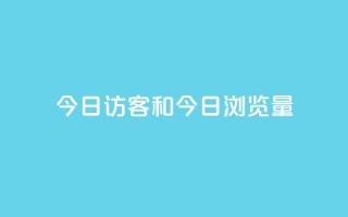 今日访客和今日浏览量,q赞助手最新版下载 - qq绝版名片代码大全 - 抖音下单24小时