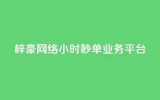 梓豪网络24小时秒单业务平台,ks自助小店 - qq空间说说赞20个秒到账 - qq空间访客量增加网站