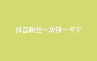 抖音粉丝一块钱一千个 - 抖音粉丝仅需一元获取千人关注秘诀揭秘！