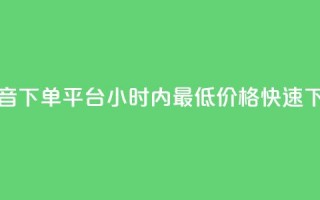 抖音下单平台，24小时内最低价格快速下单