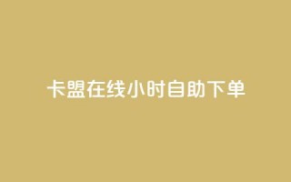 卡盟在线24小时自助下单 - 刷粉网站代理怎么做